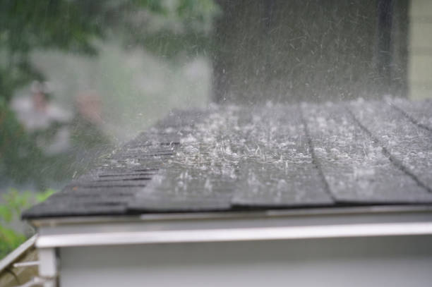 Best Metal Roofing Installation  in Lisbon, OH