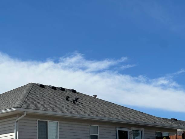 Best 4 Ply Roofing  in Lisbon, OH