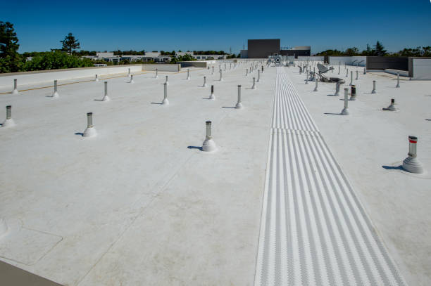 Best Storm Damage Roof Repair  in Lisbon, OH